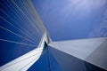 Erasmus Bridge. Details Royalty Free Stock Photo