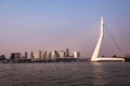 Erasmus Bridge Erasmusbrug in Rotterdam with cityscape background Royalty Free Stock Photo