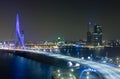 Erasmus Bridge by Night Royalty Free Stock Photo