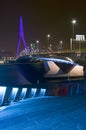 The Erasmus Bridge at Night