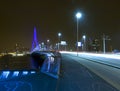 Erasmus Bridge by Night Royalty Free Stock Photo