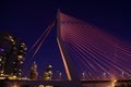 Erasmus bridge at night