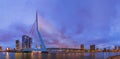 Erasmus bridge and Rotterdam cityscape - Netherlands