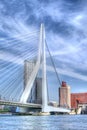 Erasmus bridge, Rotterdam Royalty Free Stock Photo