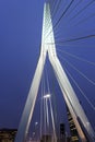 Erasmus Bridge. Rotterdam, South Holland, Netherlands. Royalty Free Stock Photo