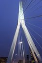 Erasmus Bridge. Rotterdam, South Holland, Netherlands.