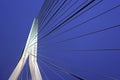 Erasmus Bridge. Rotterdam, South Holland, Netherlands. Royalty Free Stock Photo