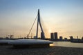 Erasmus bridge at sunset Royalty Free Stock Photo
