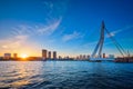 Erasmus Bridge on sunset, Rotterdam, Netherlands