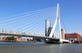 Erasmus Bridge (the Swan) in dutch city of Rotterdam