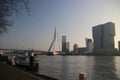 The erasmusbrug bridge and offices in the morning sun in Rotterdam