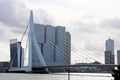 Erasmusbrug bridge over river Nieuwe Maas with nickname Swan connects north and south of Rotterdam.