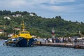 Erato flying dolphin boat from Aegean company arrives in Skiathos island, Greece