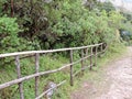 Eravikulam National Park, Kerala, India Royalty Free Stock Photo