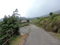 Eravikulam National Park, Kerala, India