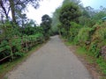 Eravikulam National Park, Kerala, India Royalty Free Stock Photo