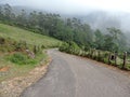 Eravikulam National Park, Kerala, India tourism Royalty Free Stock Photo