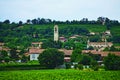 Erbusco village vineyards Lombardy Italy Royalty Free Stock Photo