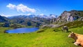 Ercina lake at Picos de Europa in Asturias Spain Royalty Free Stock Photo
