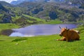 Ercina lake at Picos de Europa in Asturias Spain Royalty Free Stock Photo