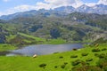 Ercina lake at Picos de Europa in Asturias Spain Royalty Free Stock Photo