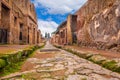 Herculaneum Ancient Ruins in Ercolano, Italy