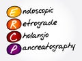 ERCP - Endoscopic Retrograde CholangioPancreatography acronym Royalty Free Stock Photo