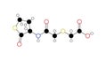 erdosteine molecule, structural chemical formula, ball-and-stick model, isolated image mucolytic