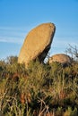 Erect Anthropomorphic Boulder