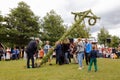 Erecting the midsummer pole