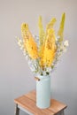 Eremurus flowering ornamental plant, beautiful yellow orange foxtail lily flowers in bloom, Desert Candle flower Royalty Free Stock Photo