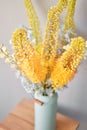 Eremurus flowering ornamental plant, beautiful yellow orange foxtail lily flowers in bloom, Desert Candle flower Royalty Free Stock Photo