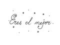 Eres el mejor phrase handwritten with a calligraphy brush. You are the best in spanish. Modern brush calligraphy. Isolated word