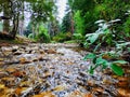 Eresma river in Segovia Royalty Free Stock Photo