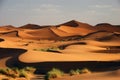 Erg Chebbi Royalty Free Stock Photo