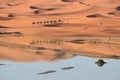 Erg Chebbi desert Royalty Free Stock Photo