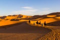 Camel Riding Caravan along sand dunes, ahara Desert, Royalty Free Stock Photo