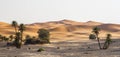 Erg Chebbi in Morocco