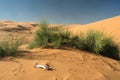 Erg Chebbi sand dunes