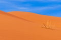 Erg Chebbi sand dunes, Sahara Desert,Morocco: Sand dunes in a sunny day close to Merzouga Royalty Free Stock Photo