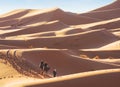 Erg Chebbi sand dunes in the Sahara Desert near Merzouga at early sunny morning, Morocco. Berber male guide in traditional dress Royalty Free Stock Photo