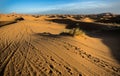 Erg Chebbi tracks