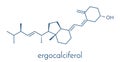 Ergocalciferol vitamin D2 molecule. Skeletal formula.