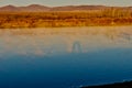 The Ergun River at late autumn morning Royalty Free Stock Photo