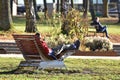 Outdoor recreation in the Salzkammergut during the lockdown in Austria Europe