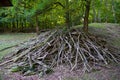 ErhÃÂ¶hter Holzstapel hat ein vielfÃÂ¤ltiges Leben im Inneren