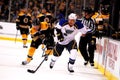 Eric Brewer St. Louis Blues Royalty Free Stock Photo