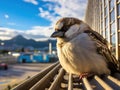 Ai Generated illustration Wildlife Concept of Eric the Sparrow Royalty Free Stock Photo