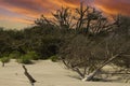 The Erie Sunset Beachscape at Folly Beach Royalty Free Stock Photo