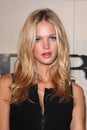 Erin Heatherton Royalty Free Stock Photo